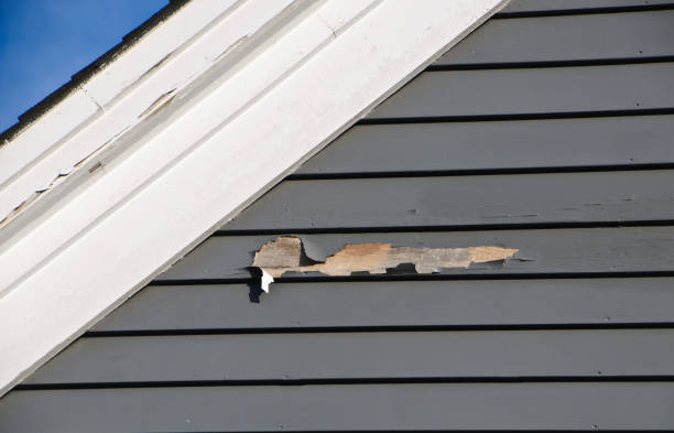 Best Insulated Siding Installation  in Oak Creek, WI